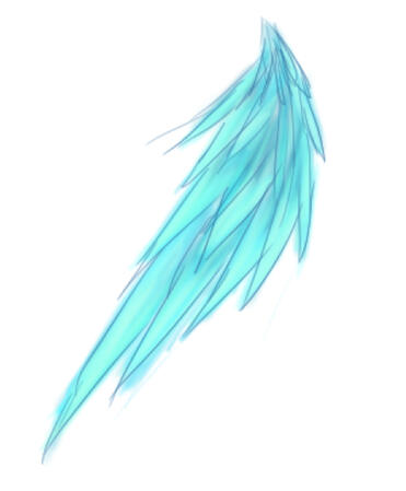 Wing Feather Color